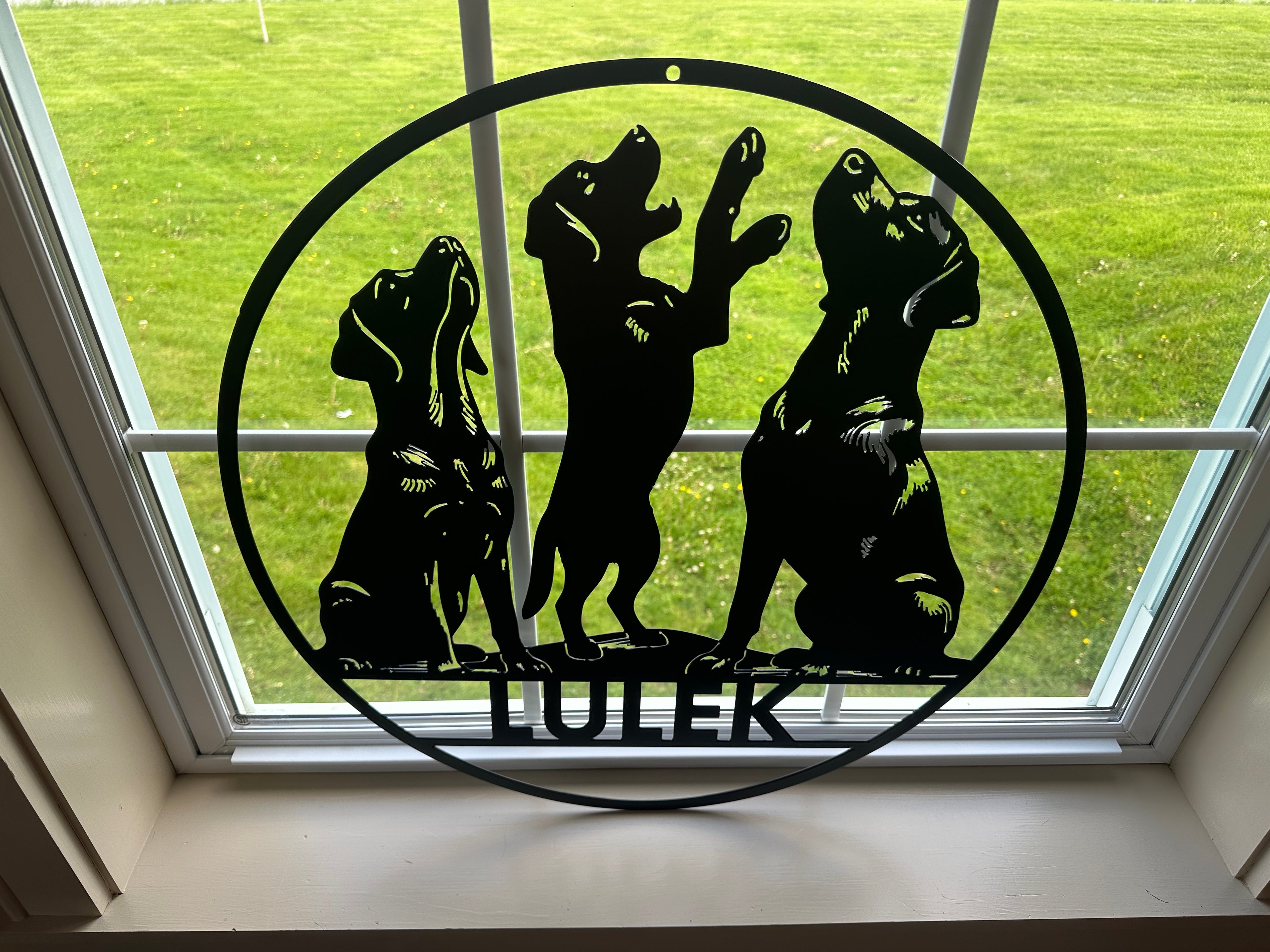 3 Dogs, Name Sign